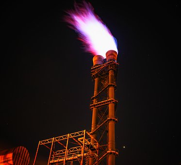 fire-1980292__340-plant